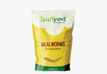 Why Does Mealworm Snacks Deserve a Spot in Your Pantry?