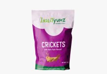 Why Eating Whole Crickets Might Be Your Next Smart Snack?